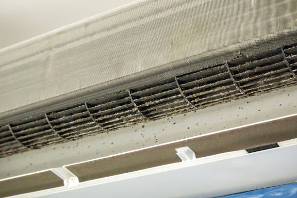 Best HVAC Duct Inspection Services  in Village Of The Branch, NY